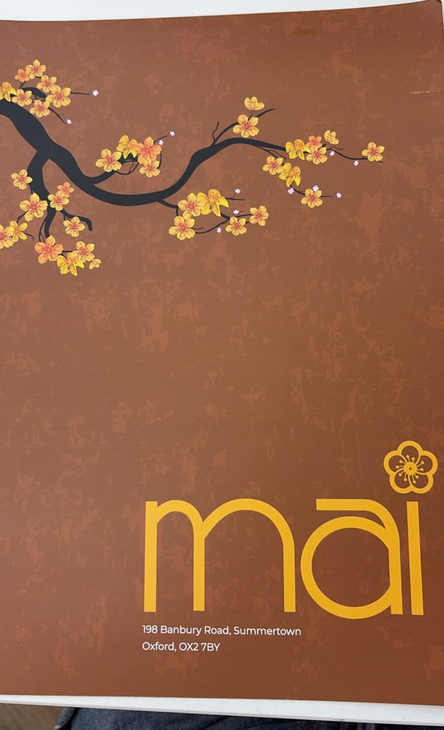 Mai menu cover with apricot blossom